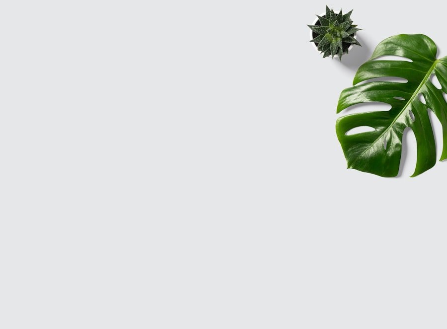 Unique Home Office Ideas