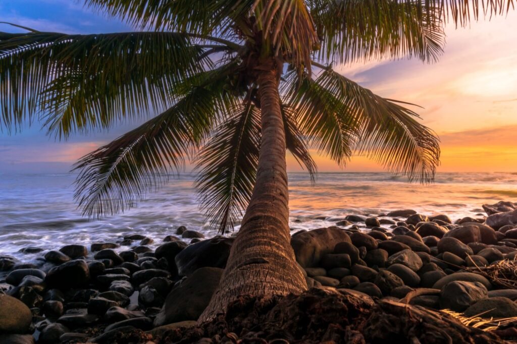 Hidden Beach Gems in Asia: Discover the Secluded Coastal Paradises