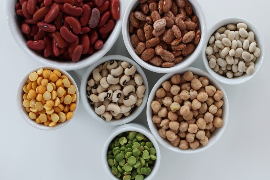 Plant-Based Protein Myths Debunked